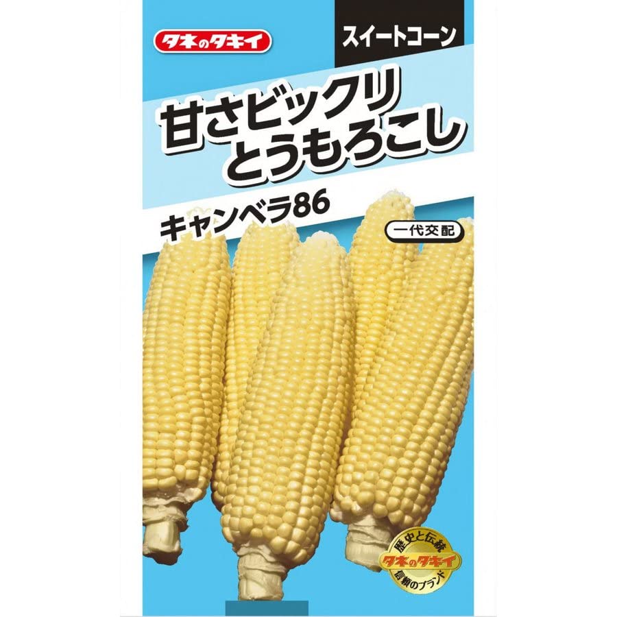 Amazon | タキイ種苗 甘さビックリとうもろこし キャンベラ86